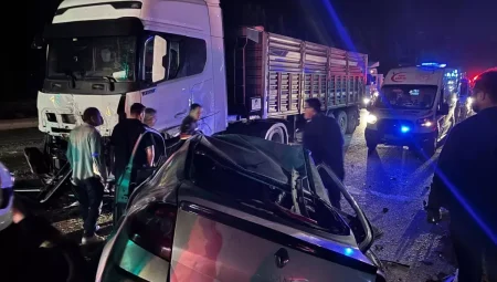 Adana’da Trafik Kazası: 1 Meyyit, 1 Yaralı