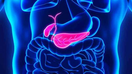 Safra (Sıvısı) nedir, ne işe fayda? İşte sırrı…
