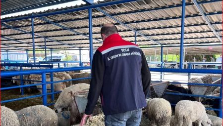 Bolu’da kurban pazarlarına yönelik kontrol yapıldı