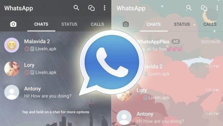 Fiyatlı WhatsApp kullanıma sunuldu: İşte fiyatı ve özellikleri