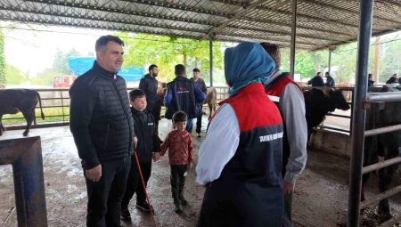 Hayvan sevkiyatına sıkı denetim