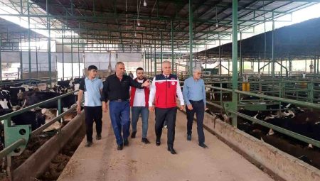 Kurban Bayramı öncesi hayvan satış yerlerinde sıkı kontrol