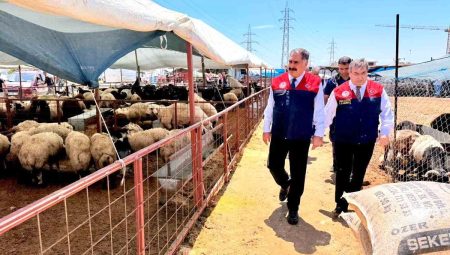 Mersin’de Kurban Bayramı öncesi satış noktalarında sıkı kontrol