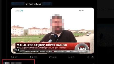 Aile sıhhati merkezindeki sedyede köpek tedavi eden tabibin skandal sözleri tekrar gündem oldu