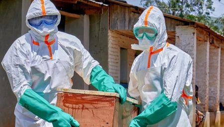 Ebola virüsü sonları aştı, Avrupa ve Güney Amerika alarma geçti