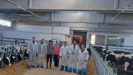 Hisarcık’ta birinci hastalıktan ari büyükbaş işletmesi için kıymetli adım