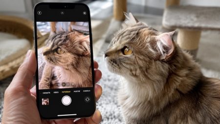iPhone’daki değişik kamera ayarı: Pireleri gösteriyor